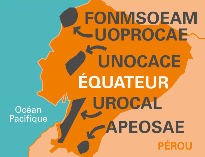 Carte coopÃ©rative FONSEAM Equateur - chocolat noir 80% 